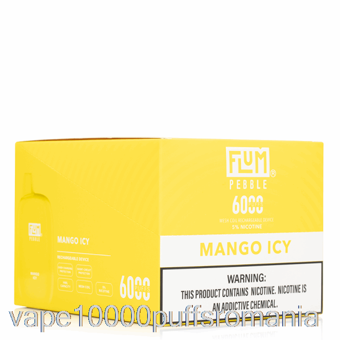 Vape Romania [10-pachet] Flum Pebble 6000 De Unica Folosinta